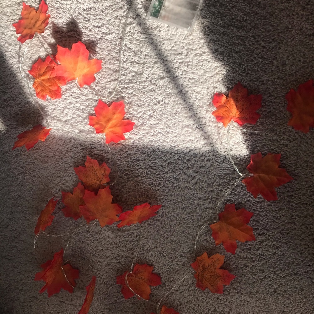 Autumn leaf garland fairy light 🍁🍂